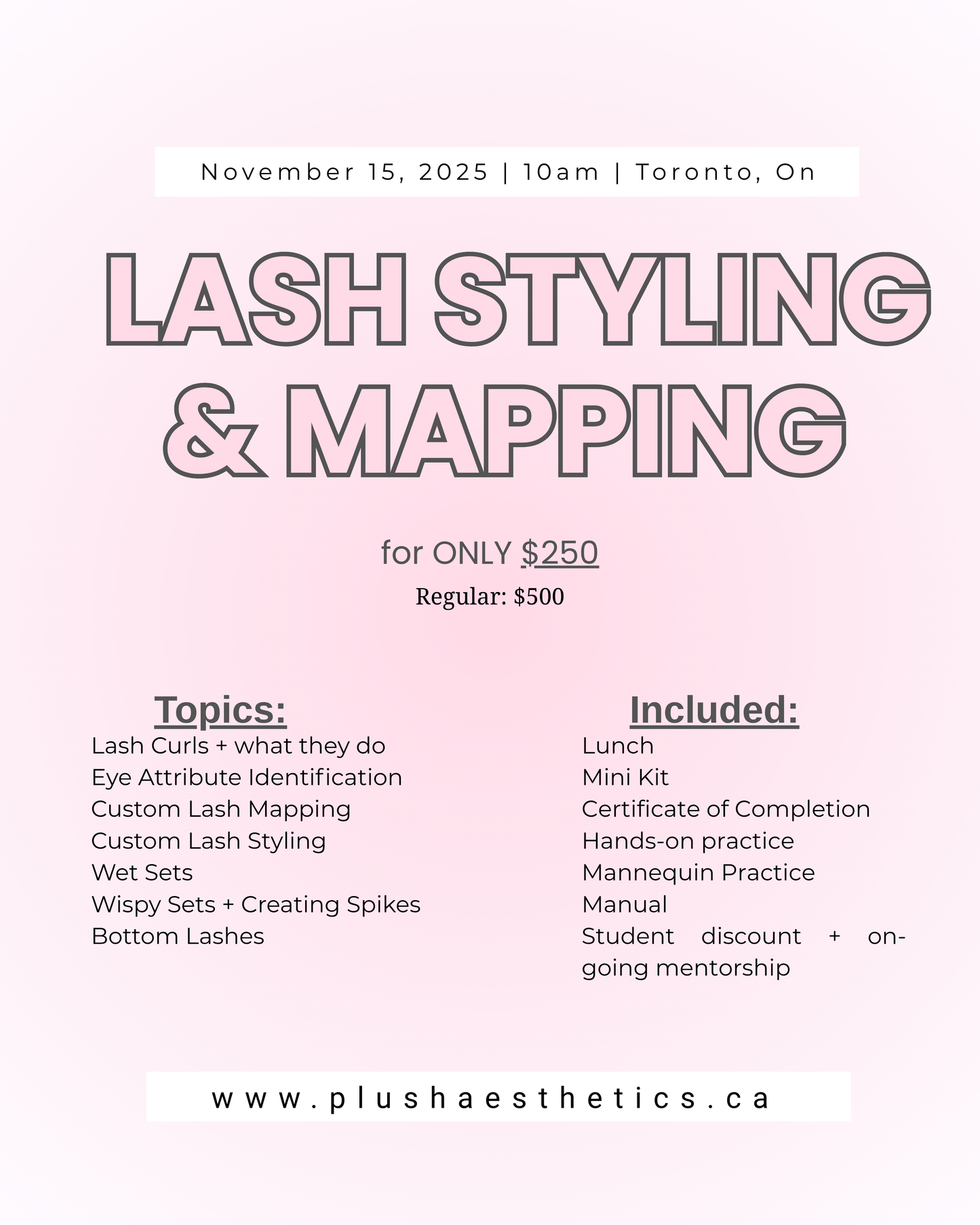 Advanced Lash Styling & Mapping Lash Class
