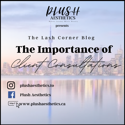 The Importance of Client Consultations